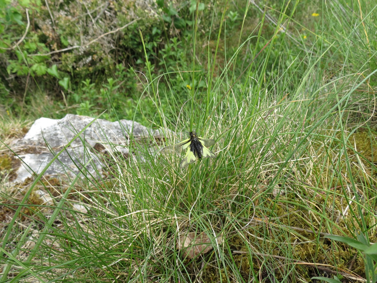 2012-05-Séjour à Martel